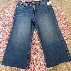 KUT FROM THE CLOTH “MEG” FAB AB Jeans size 18P